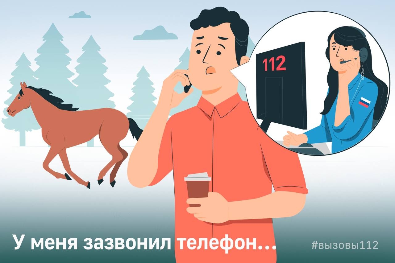 У меня зазвонил телефон… У меня зазвонил телефон…