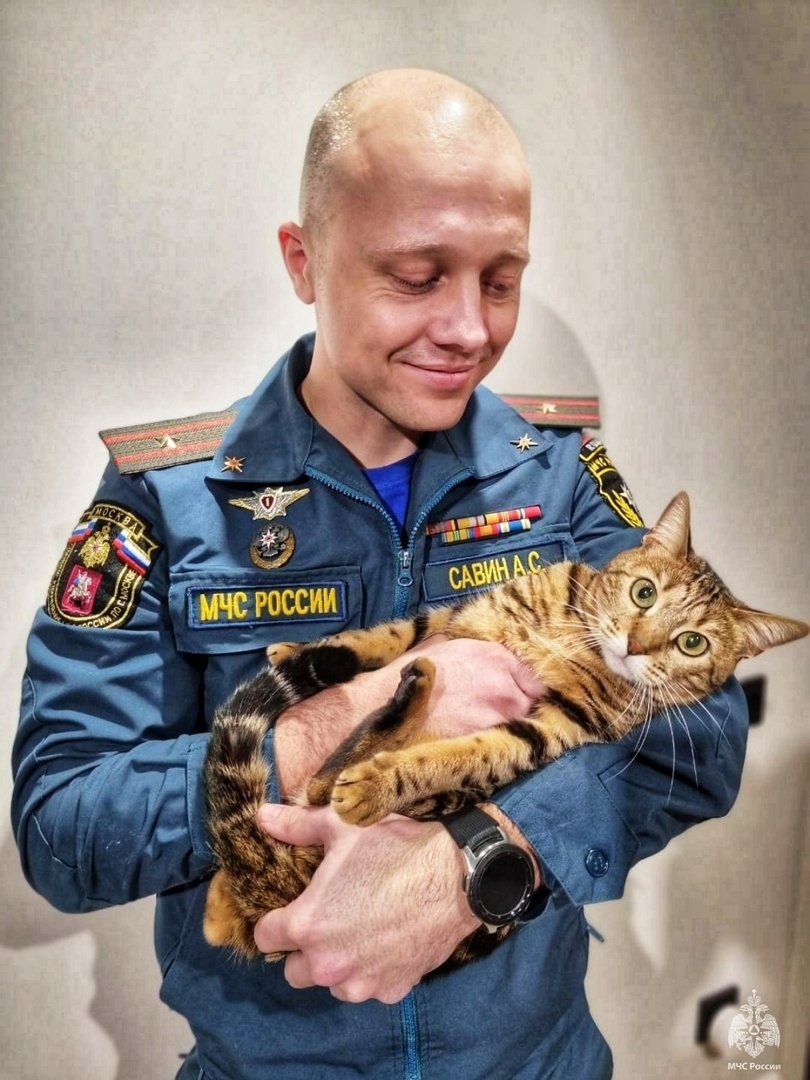 Любимые питомцы сотрудников МЧС Любимые питомцы сотрудников МЧС