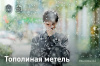 Тополиная метель
