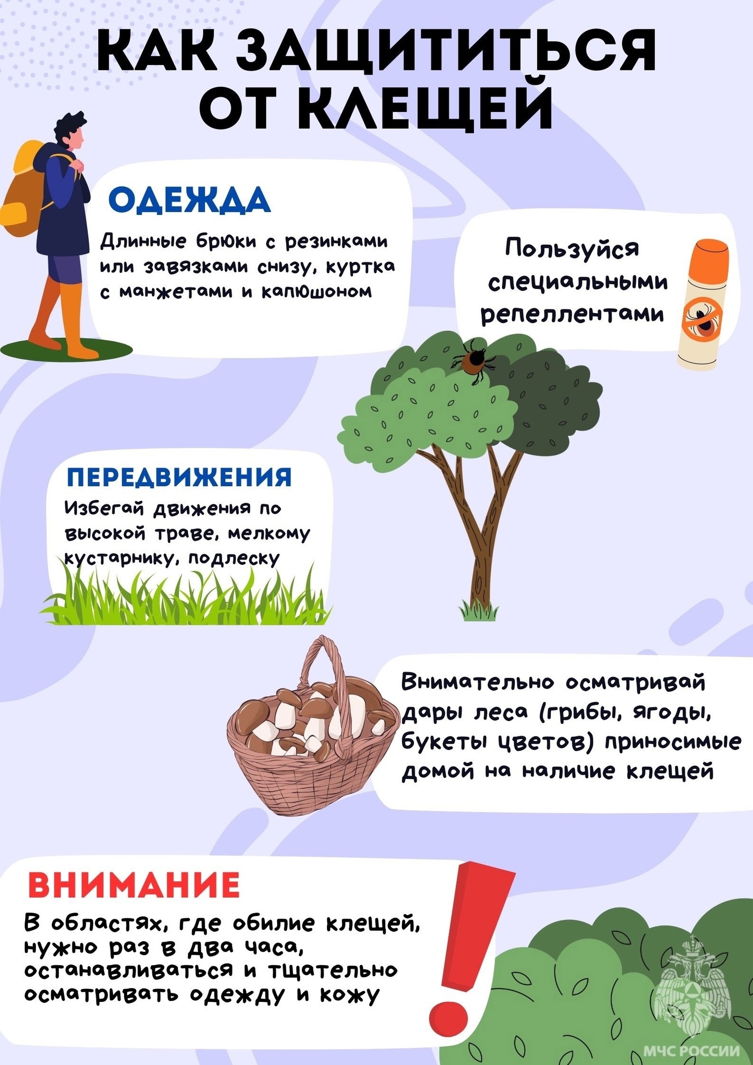 Осторожно, клещи! Осторожно, клещи!