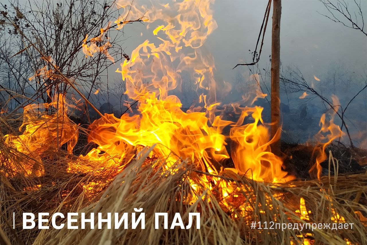 Весенний пал Весенний пал