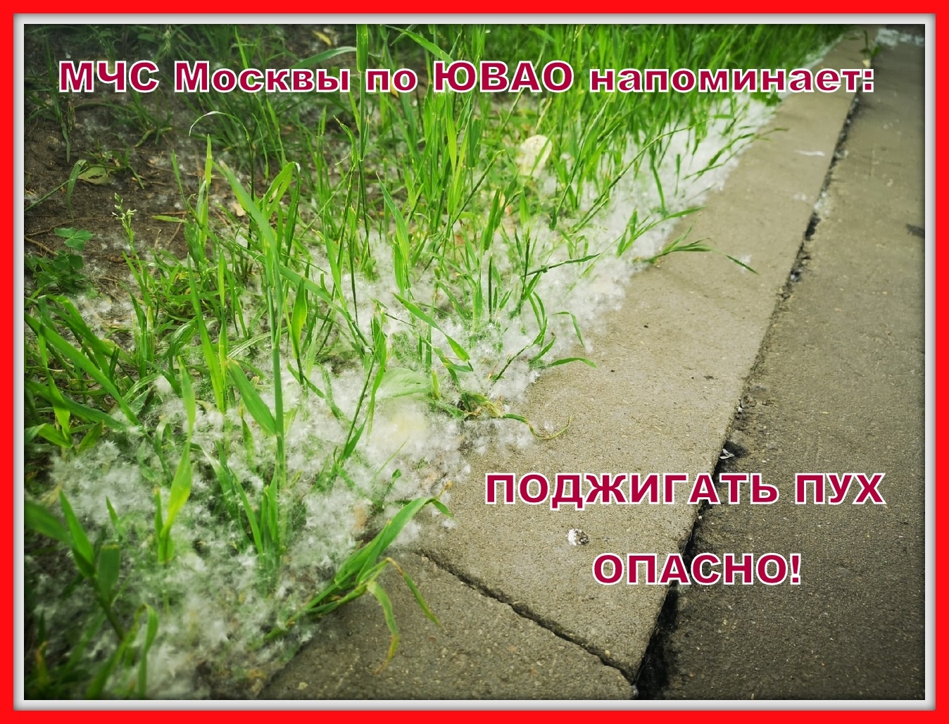 Поджигать пух - опасно!