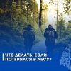 МЧС России о том, что делать, если заблудился в лесу.