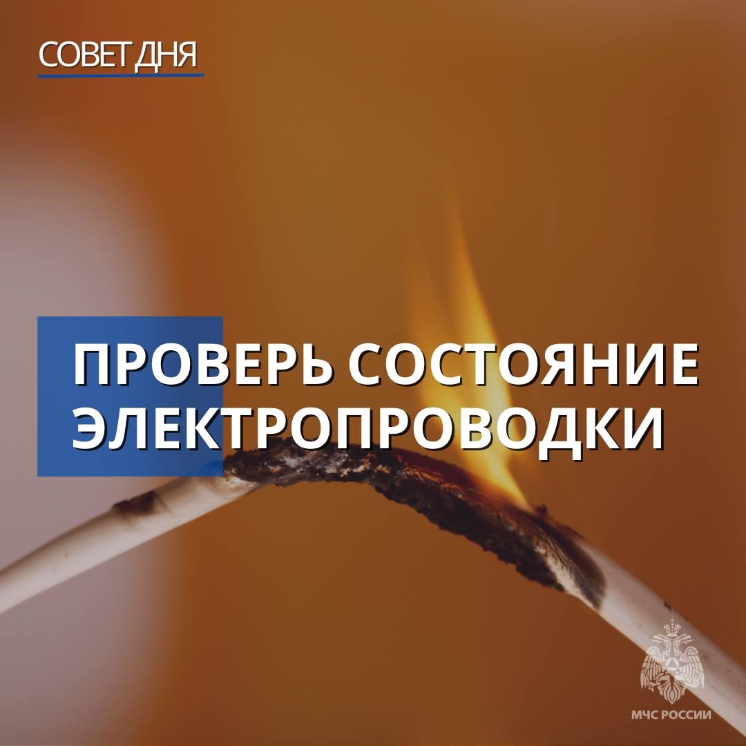 Совет дня